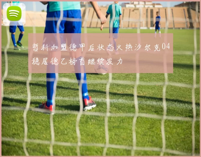 哲科加盟德甲后状态火热沙尔克04稳居德乙榜首继续发力