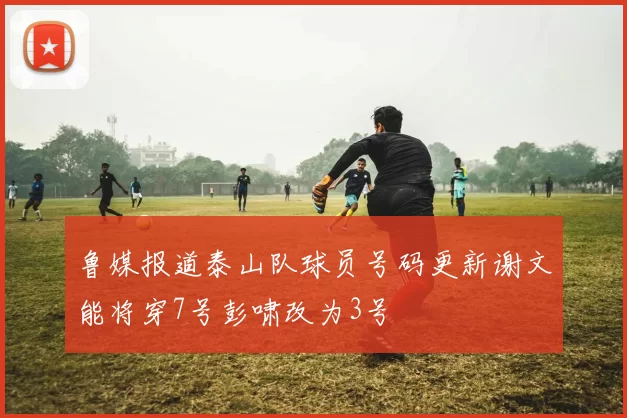 鲁媒报道泰山队球员号码更新谢文能将穿7号彭啸改为3号